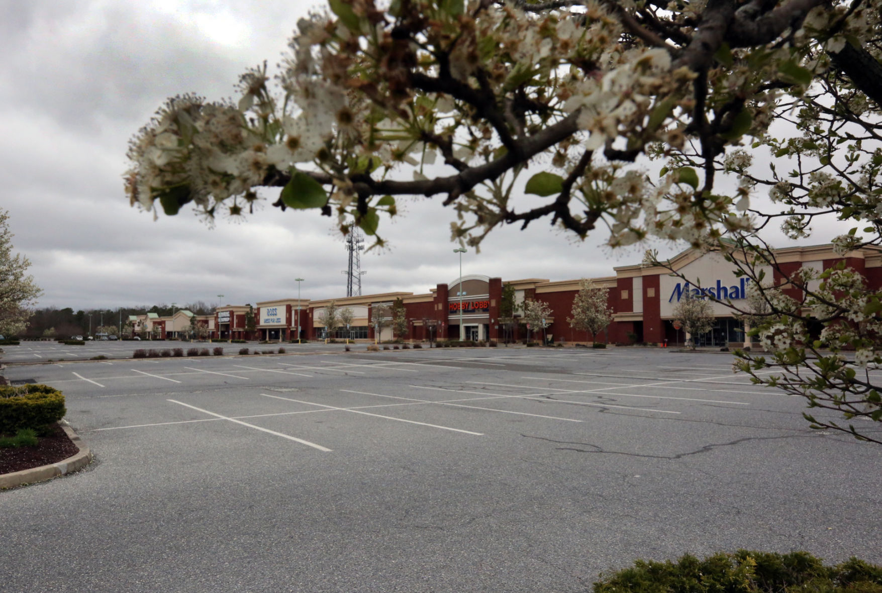 Covid-19 closes South Jersey businesses